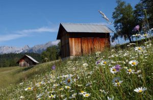sportalm seefeld sommer urlaub bilder galerie